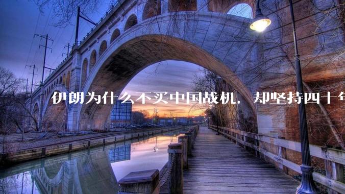 伊朗为什么不买中国战机，却坚持四十年用老旧的苏联米格29、美国F14雄猫战斗机?